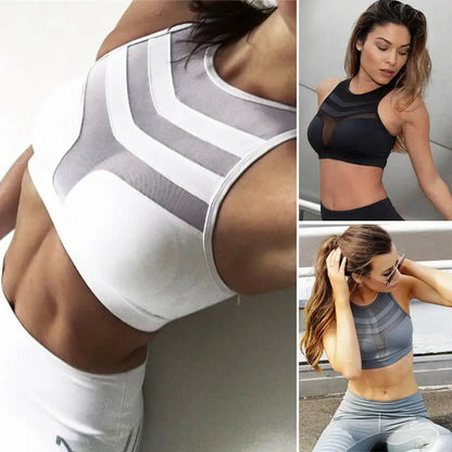 Hirigin Cotton Sports Bra Women Padded Mesh Breathable Yoga Gym Seamless Crop Bra Fitness Running Vest Tops