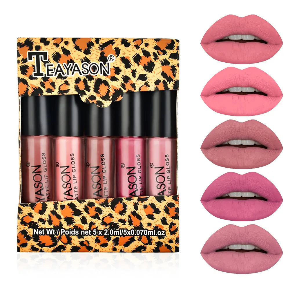 5 Colors/set Long Lasting Matte Lipstick Set Moisture Lips Makeup Waterproof Lip Glaze Velvet Red Lip Cosmetics Set