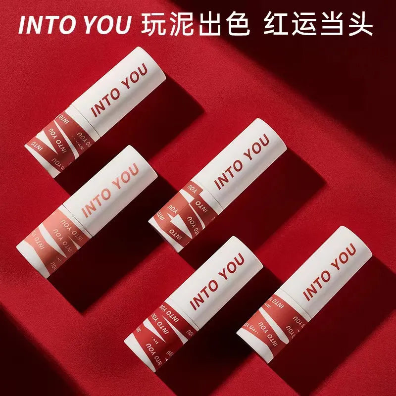 INTO YOU Lip Gloss Women Makeup Matte Velvet Lipstick Waterproof Long Lasting Red Lip Tint Lip Glaze Beauty Cosmetics